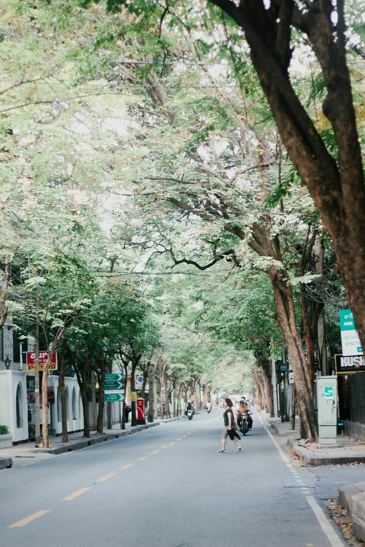 Weeping Willow Sukhumvit 26 Bangkok Dış mekan fotoğraf